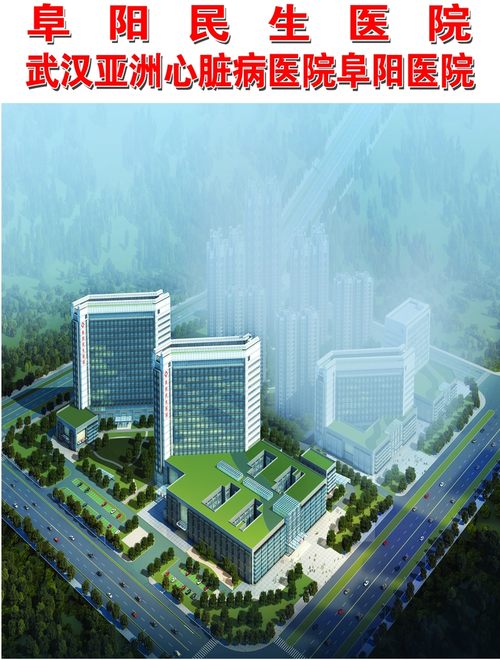 阜阳民生医院2027年招聘