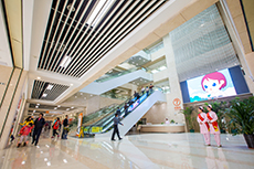 广东省中山市陈星海医院2027年招聘