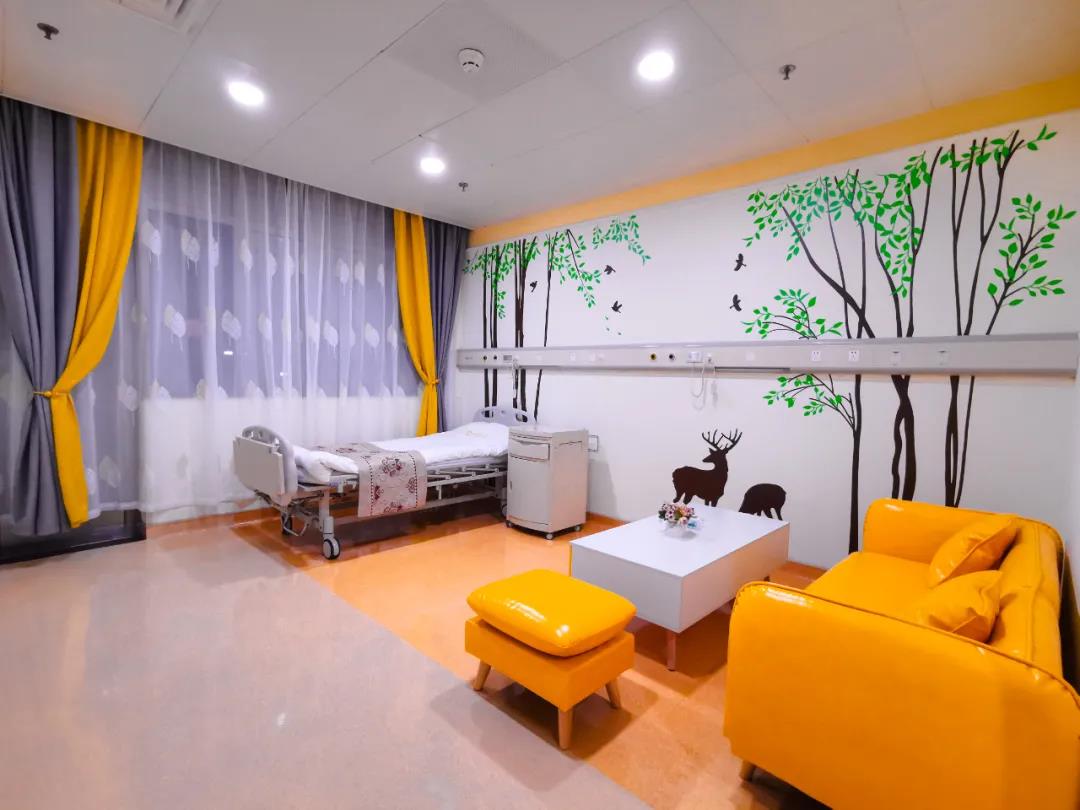 广东省中山市陈星海医院2027年招聘