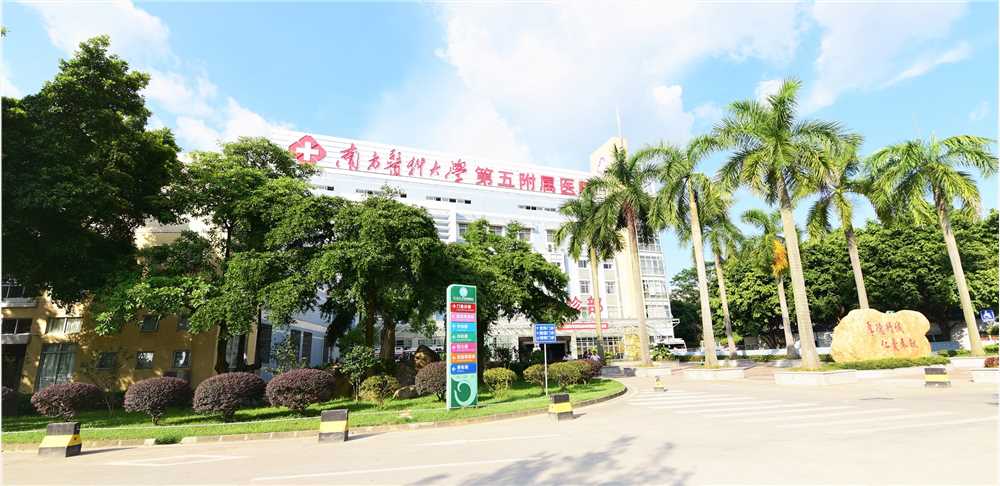 南方医科大学第五附属医院2027年招聘