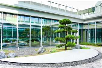 深圳市福田区第三人民医院2027年招聘