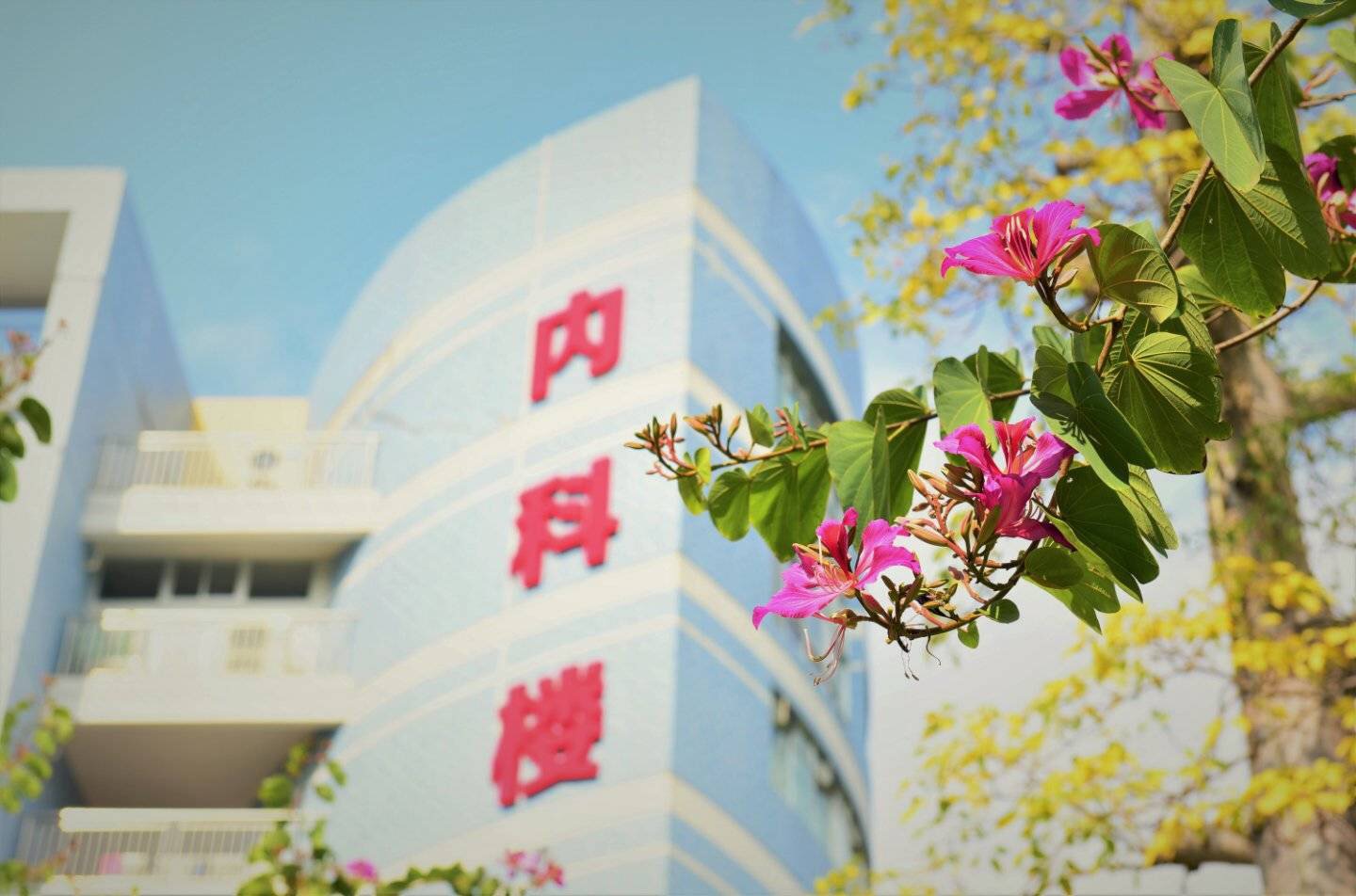 南方医科大学第五附属医院2027年招聘