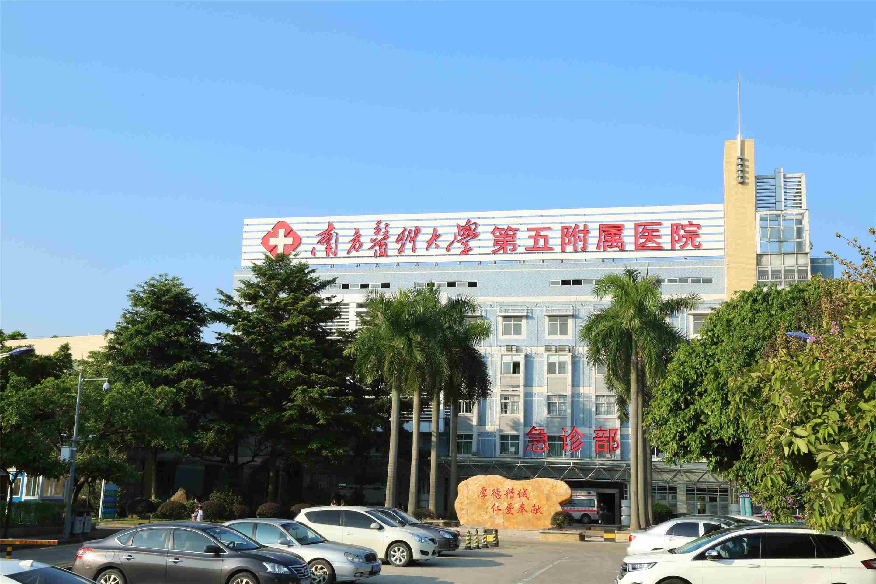 南方医科大学第五附属医院2027年招聘